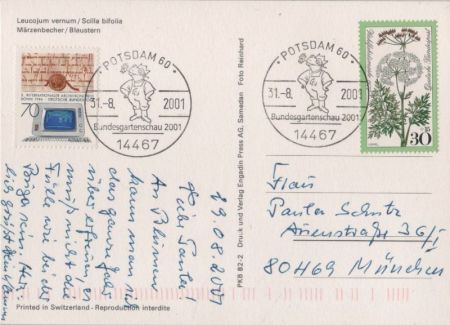 Leucojum vernum Sonderstempel Leucojum vernum Sonderstempel