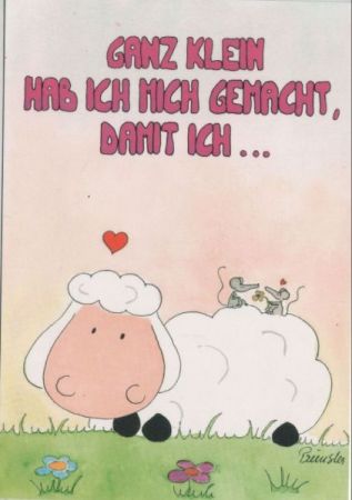Ganz klein gemacht Schaf Ganz klein gemacht Schaf