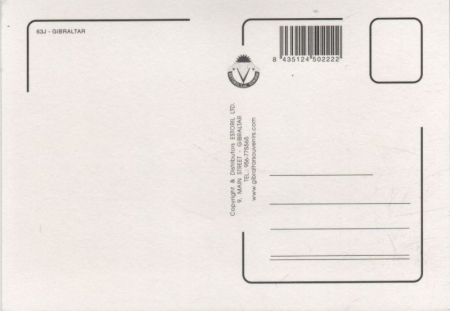 Gibraltar - Großbritannien - Delfine