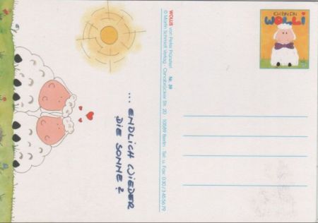 Schon lange im Regen Schaf