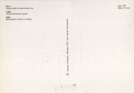 Jalta - Ukraine - Nikita - Botanischer Garten Jalta - Ukraine - Nikita - Botanischer Garten