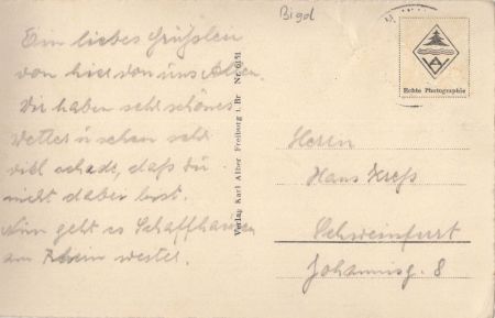 Mainau (Insel) - Rosengarten