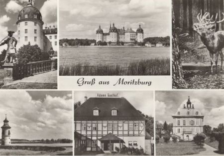 Moritzburg - 6 Bilder Moritzburg - 6 Bilder