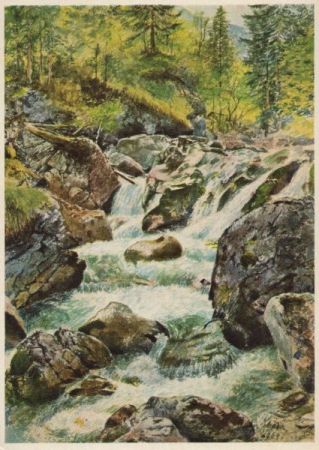Ramsau - Zauberwald (Viktor Schäffer) Ramsau - Zauberwald (Viktor Schäffer)