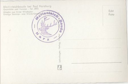 Bad Harzburg - Kronenhirsche Bad Harzburg - Kronenhirsche