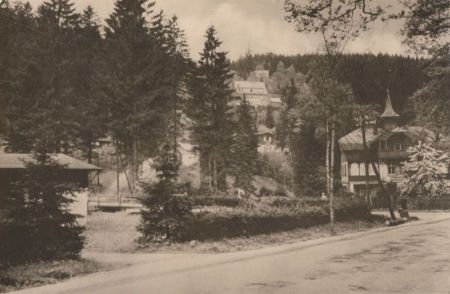 Altenberg-Waldbärenburg - Blick zum Hocheck