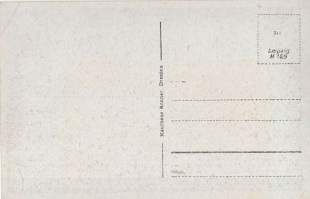 Königstein - von oben