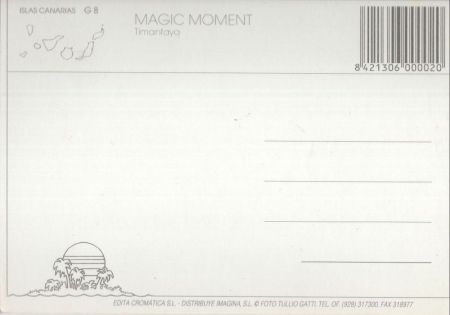 Timanfaya-Nationalpark - Spanien - kamele