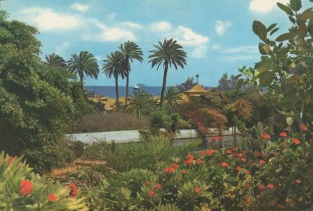 Las Palmas - Spanien - Jardines Las Palmas - Spanien - Jardines