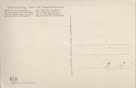 Schwarzburg - vom Trippstein gesehen