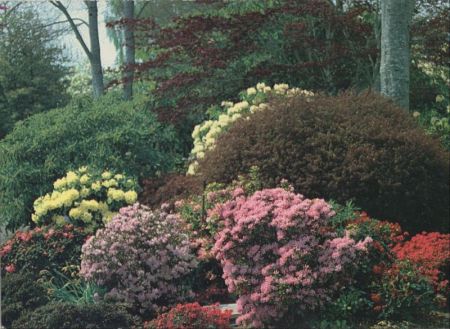 Brinnon - USA - Whitney Gardens Brinnon - USA - Whitney Gardens