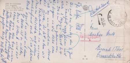 Camaiore - Italien - Allee