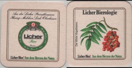 Bierdeckel quadratisch - Licher Bierdeckel quadratisch - Licher