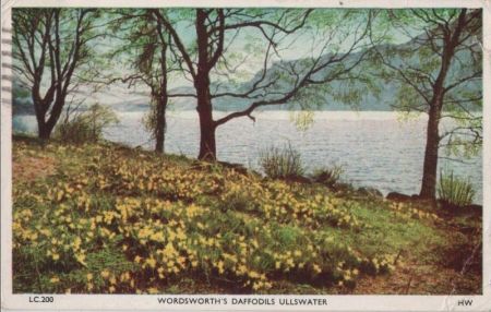 Großbritannien - Ullswater - Wordsworth Daffodils - 1963 Großbritannien - Ullswater - Wordsworth Daffodils - 1963