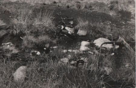 Georgenfelder Hochmoor - Naturschutzgebiet - 1962 Georgenfelder Hochmoor - Naturschutzgebiet - 1962