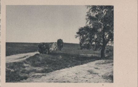 Weite Landschaft - ca. 1955 Weite Landschaft - ca. 1955