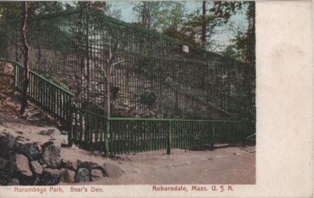 USA - Auburndale - Norumbega Park, Bear Den - ca. 1920 USA - Auburndale - Norumbega Park, Bear Den - ca. 1920