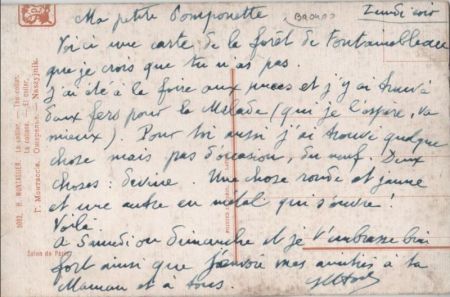 Bäume mit rotem Laub