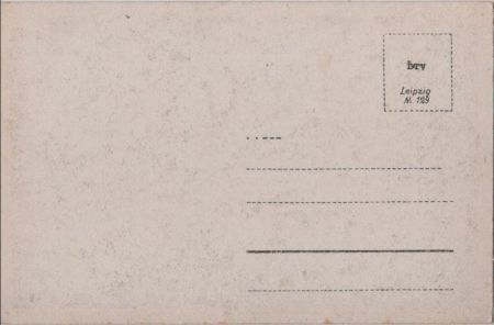 Schafe in den Bergen