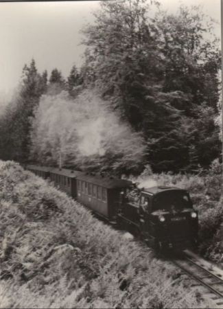 Putbus - Schmalspurbahn nach Gähren, bei Granitz - 1977 Putbus - Schmalspurbahn nach Gähren, bei Granitz - 1977