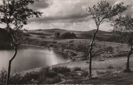 Totenmaar - Weinfelder Maar - 1965 Totenmaar - Weinfelder Maar - 1965