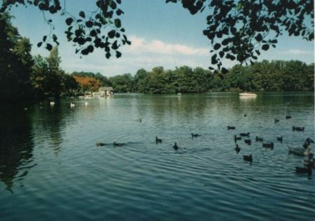 Bad Nauheim - Großer Teich am Kurpark - ca. 1980 Bad Nauheim - Großer Teich am Kurpark - ca. 1980