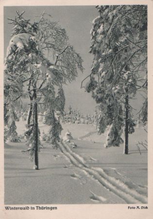 Thüringen - Winterwald - ca. 1950 Thüringen - Winterwald - ca. 1950