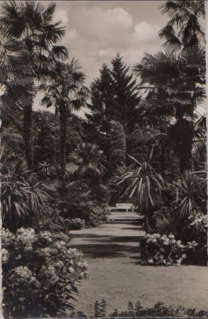 Bad Pyrmont - Palmengarten - 1967 Bad Pyrmont - Palmengarten - 1967