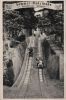 Ibbenbüren - Waldpark, Sommer-Rodelbahn - 1959