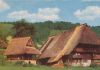 Gutach - Haus im Scharzwald - ca. 1975