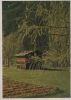 Hütte im Wald - ca. 1960