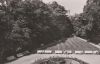 Königstein - Kurhauspark - ca. 1965
