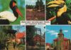 Walsrode - mit Vogelpark - 1992