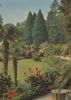 Mainau - Blick vom Palmenhain - 1963