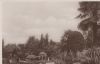 Bad Pyrmont mit Palmengarten - ca. 1955