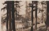 Vorschaubild: USA - Portland Oregon - Laurelhurst Park - ca. 1955 USA - Portland Oregon - Laurelhurst Park - ca. 1955