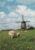 Niederlande - Alkmaar-Schermerhorn - Mühle - ca. 1985