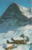 Kleine Scheidegg - Schweiz - Eiger-Nordwand