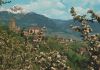 Italien - Meran - Merano - Schloss Tirol - 1974