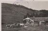 Tegernsee - Grindelalm gegen Grindelschneid - 1937