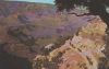 USA, Arizona - Grand Canyon - Mule train - 1977