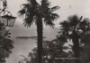 Italien - Lago Maggiore - Isola di Brissago - 1960