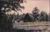 Altenberg, Zinnwald-Georgenfeld - Georgenfelder Hochmoor - 1962