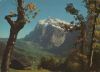 Schweiz - Grindelwald - Wetterhorn - ca. 1975