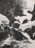 Polen - Tatry Wysokie - Hohe Tatra - Wodogrzmoty Mickiewicza - 1963