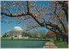 USA - Washington D.C. - Jefferson Memorial - ca. 1985