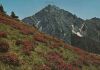 Italien - Ifinger - Hirzer Hochplateua - ca. 1985