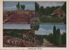 Lüneburger Heide - u.a. Wacholderweg - ca. 1960