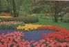 Niederlande - Lisse - Keukenhof - ca. 1980