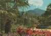 Bad Reichenhall - Palmengruppe m. Predigtstuhl - 1968